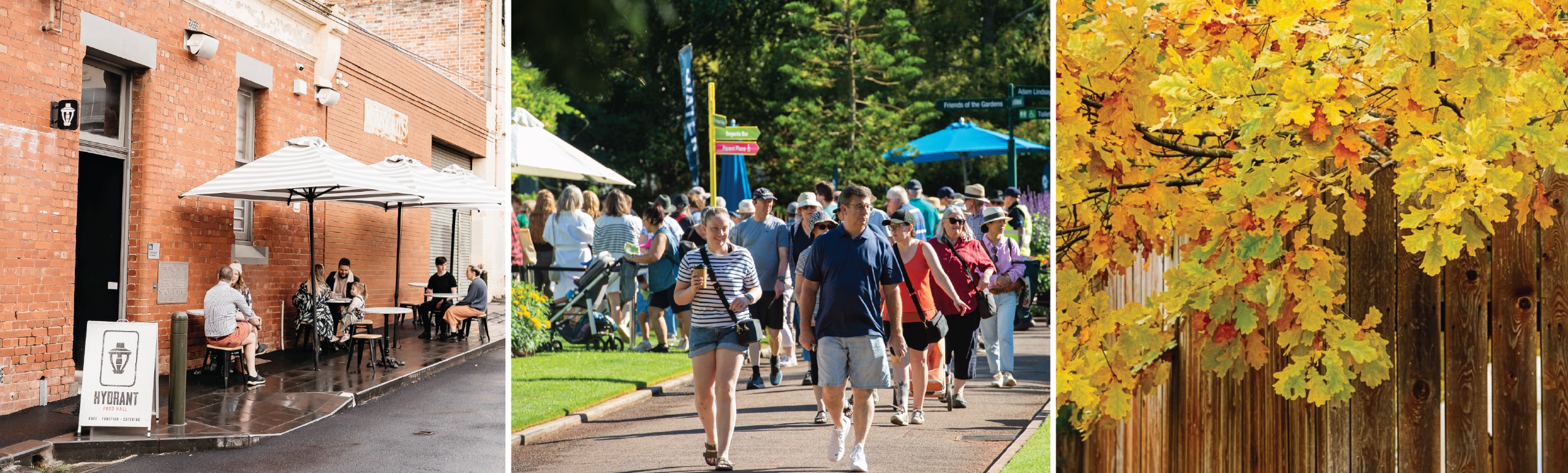 Community members walking through the Ballarat Botanical Gardens at a community event