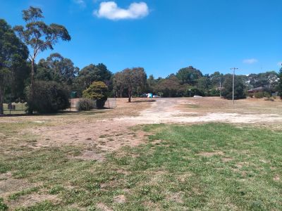 Binney Reserve looking towards road