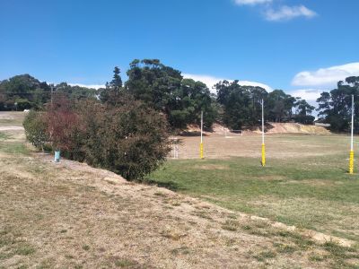 Binney Reserve oval