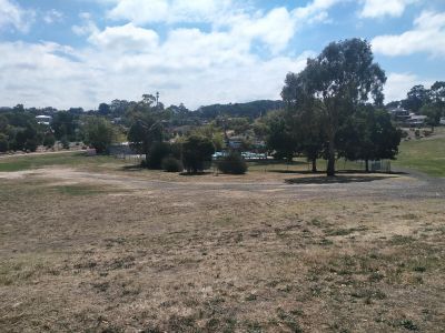 Binney Reserve overview